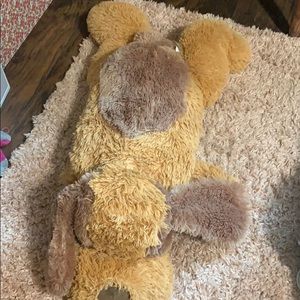 A HUGE big choclate teddy dog